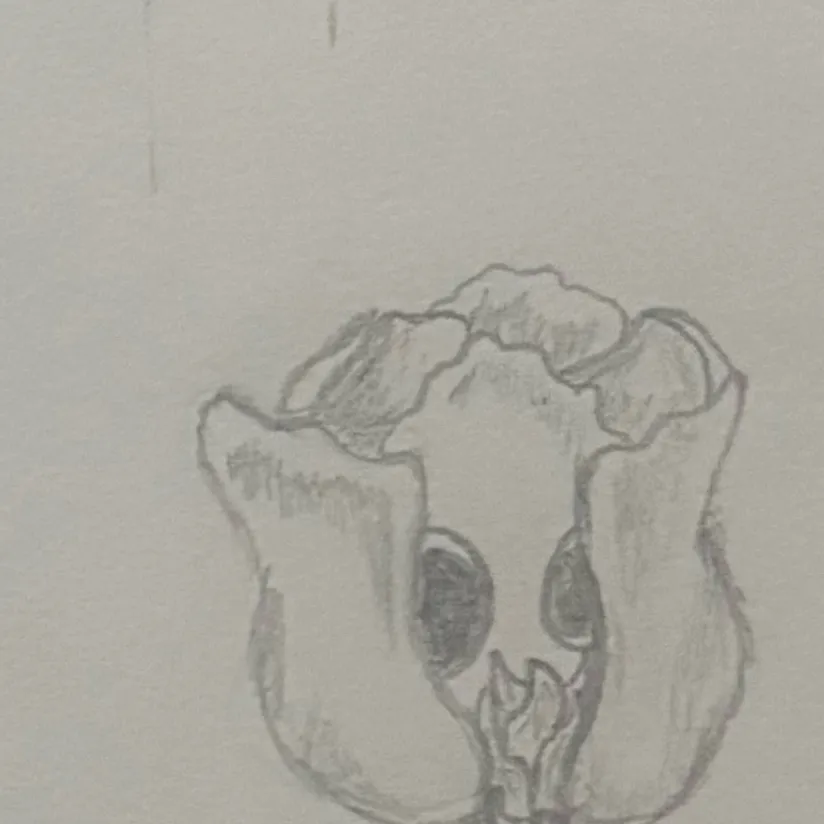 chat with ai character: Florence