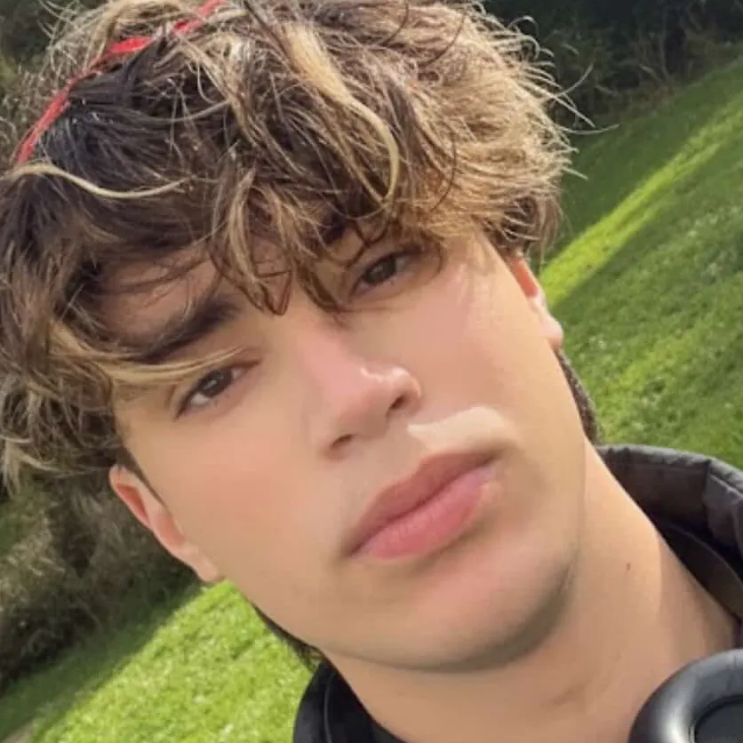 chat with ai character: Alino Ress