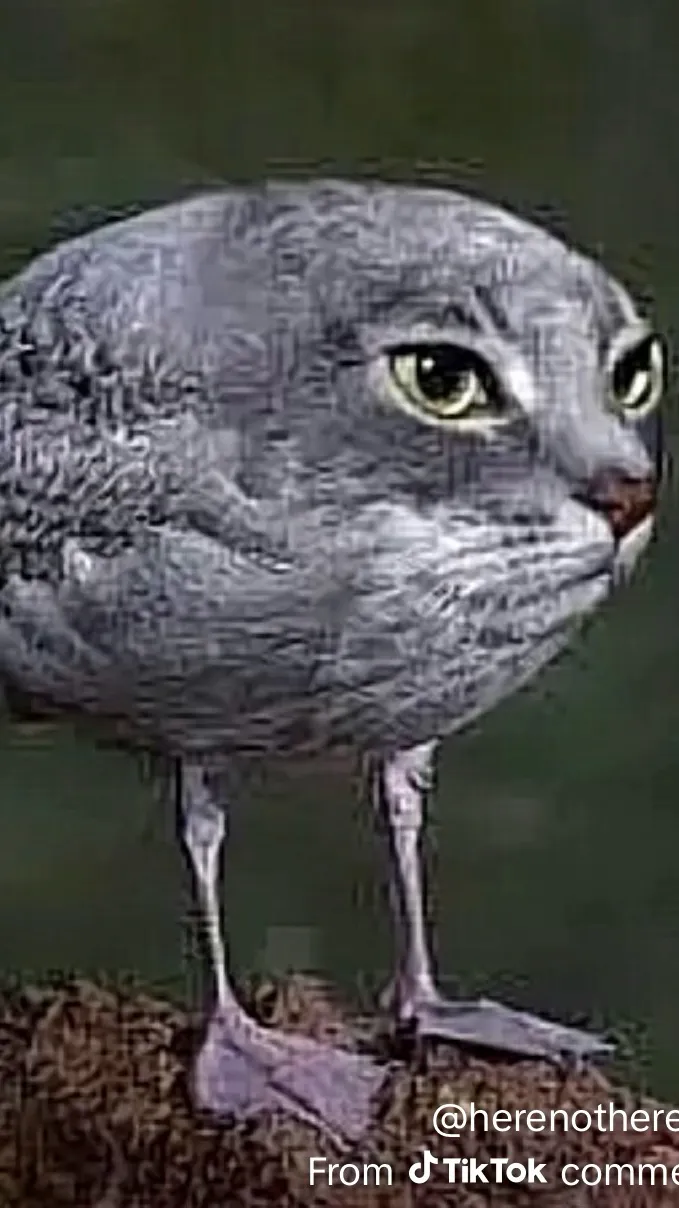 ai character: Goofy ahh cat bird background