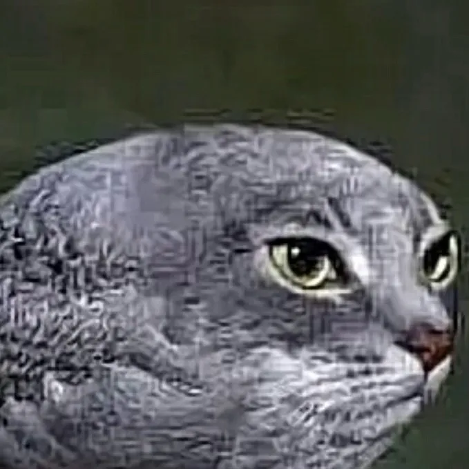 chat with ai character: Goofy ahh cat bird