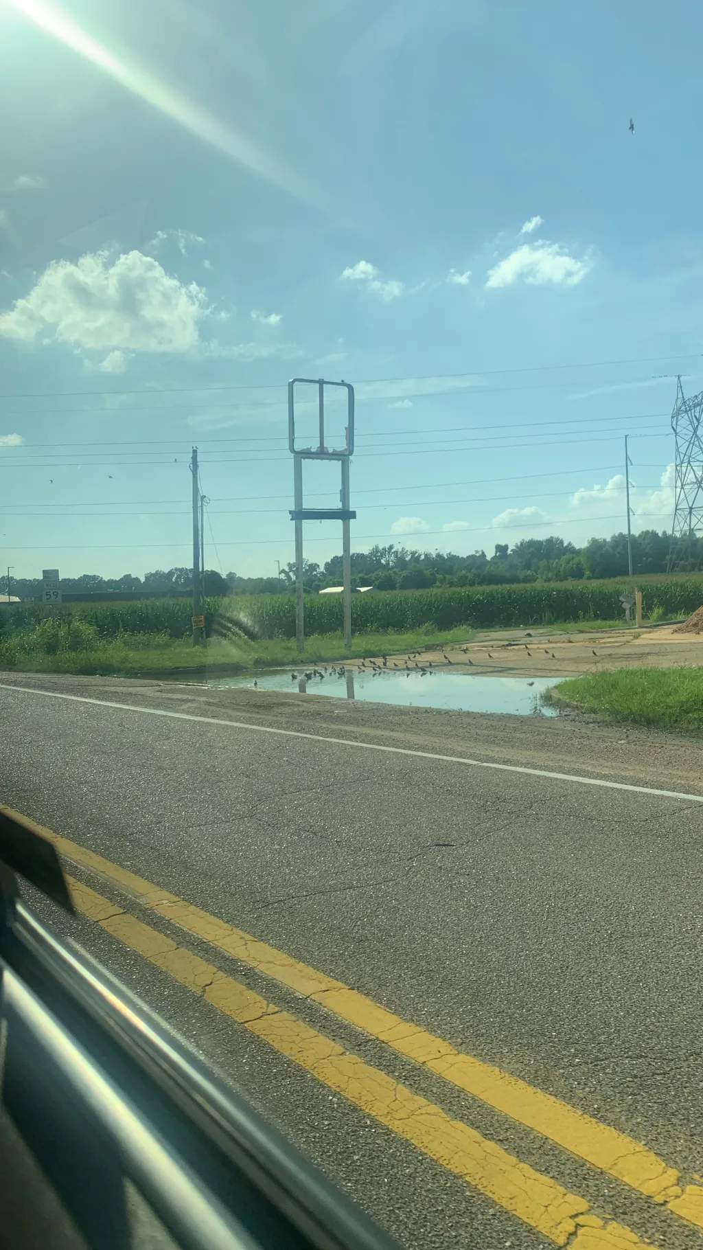 ai character: Trueblood!!! background