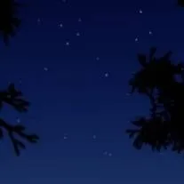 chat with ai character: {★F.E.N★}