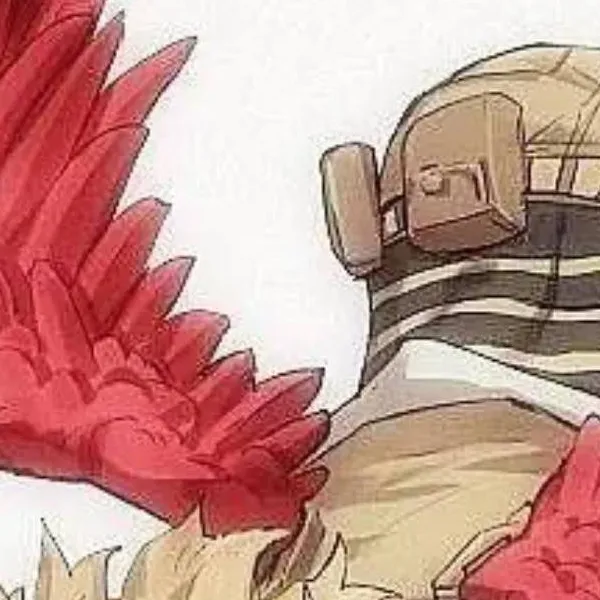 chat with ai character: Hawks love