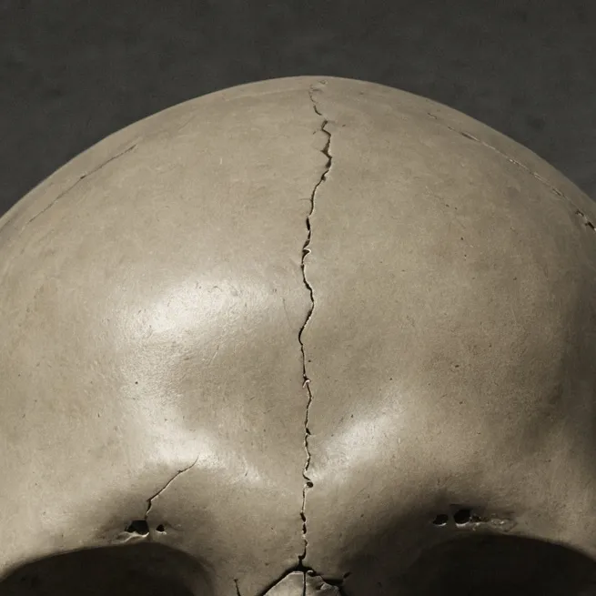 chat with ai character: THE ROASTER