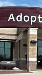 ai character: Adoption center background