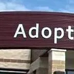 chat with ai character: Adoption center