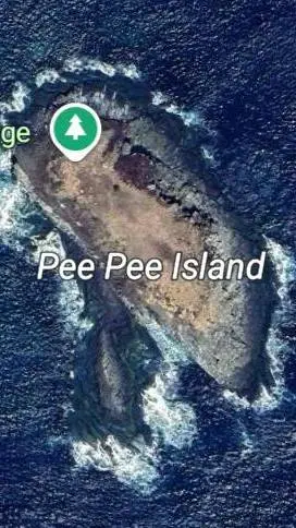 ai character: pee pee island background