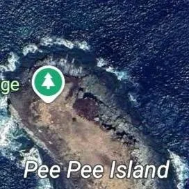 chat with ai character: pee pee island