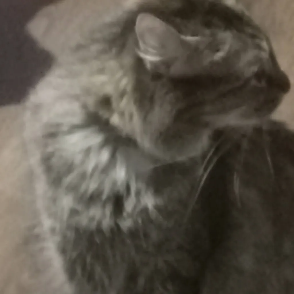 chat with ai character: Moana 2