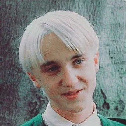 chat with ai character: 《Draco Malfoy》