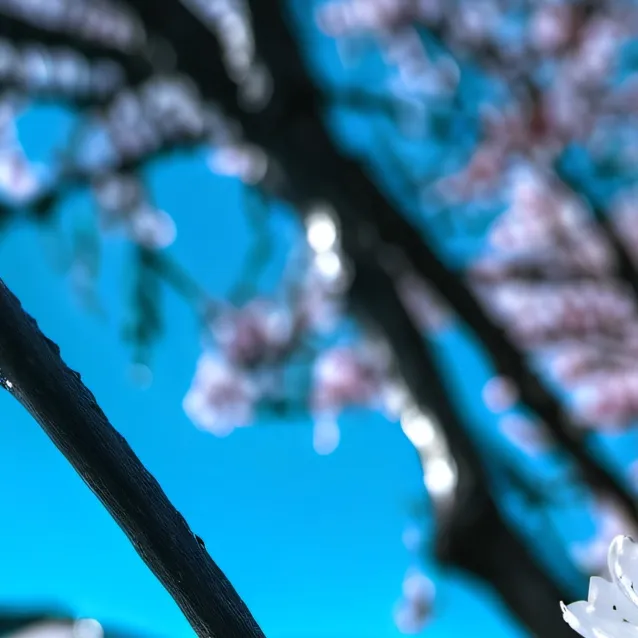 chat with ai character: .Aye