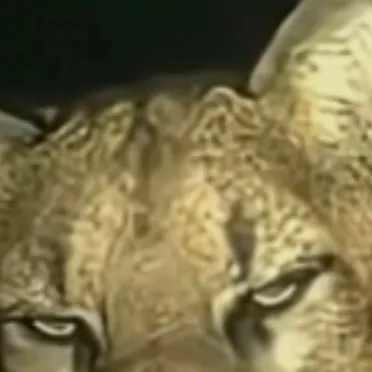 chat with ai character: I’m back