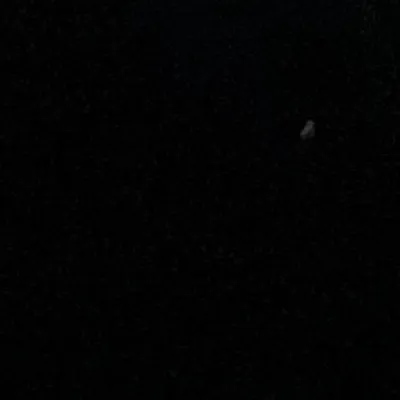 chat with ai character: Romantic homicide