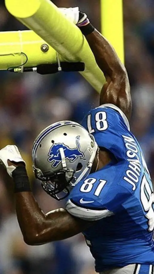 ai character: calvin johnson background