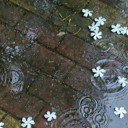 chat with ai character: Cochi