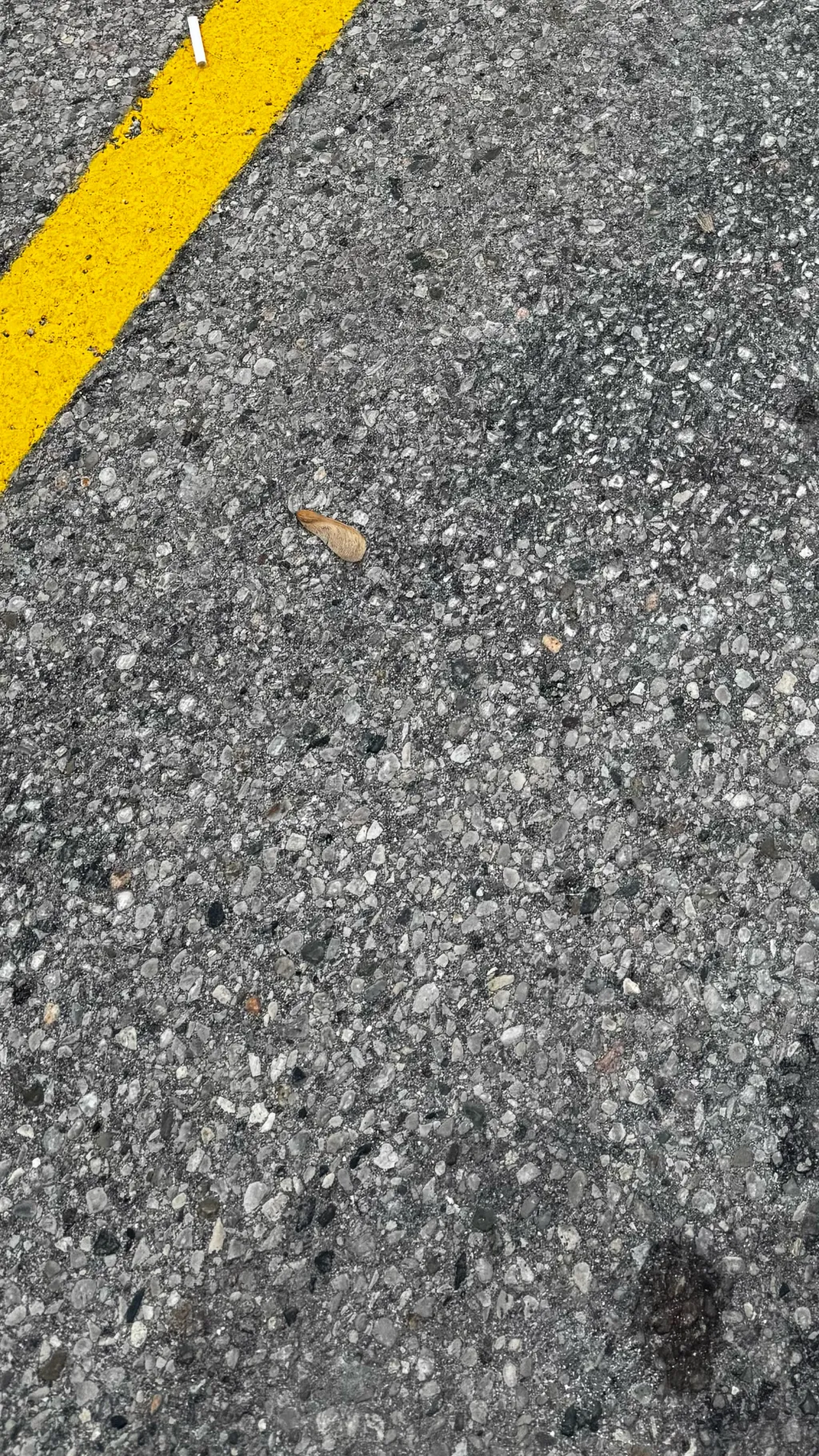 ai character: Jaden background