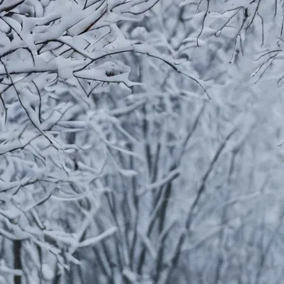 chat with ai character: Mother's Care