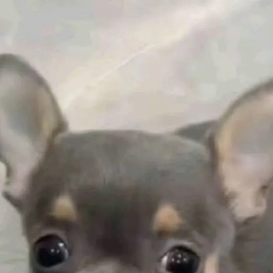 chat with ai character: Remake this 