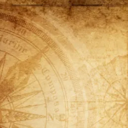 chat with ai character: ~Pirate RP~