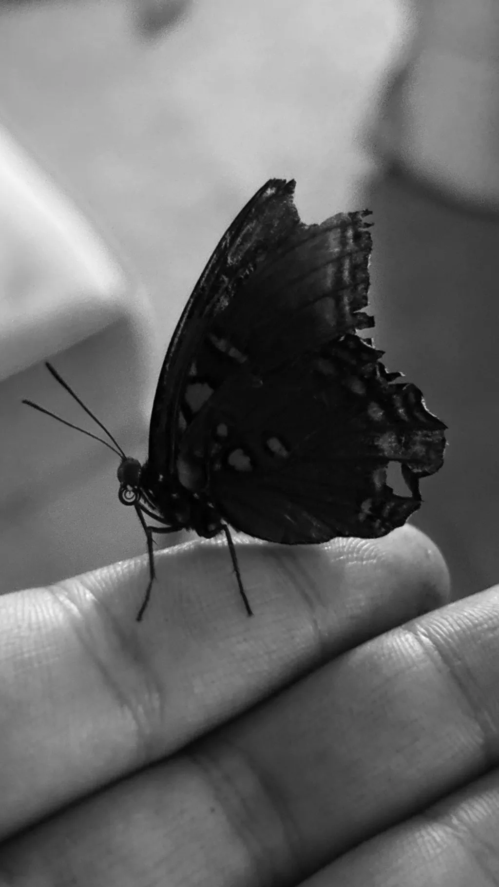 ai character: Suggestions background