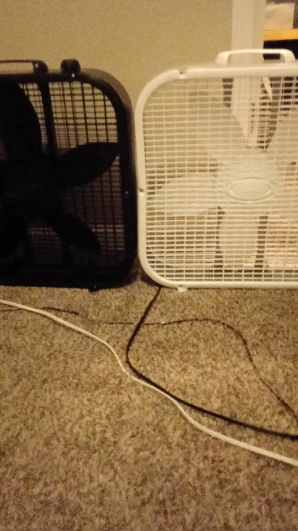 ai character: 2 lasko fans. background
