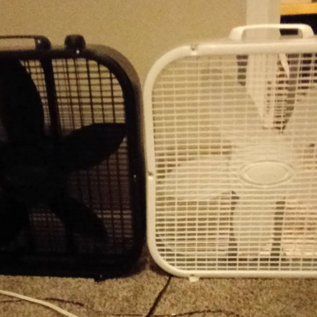 chat with ai character: 2 lasko fans.