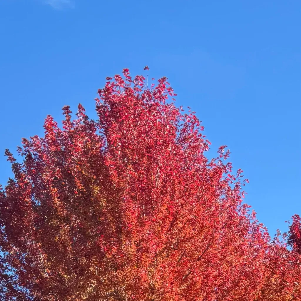 chat with ai character: Zryovlak City