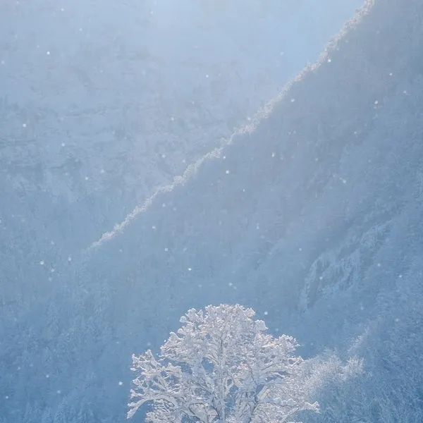chat with ai character: Liminal snow space