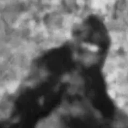 chat with ai character: bigfoot