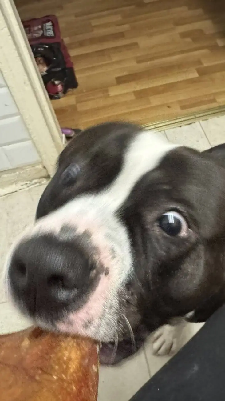 ai character: sad kny 🥺🥺🥺 background