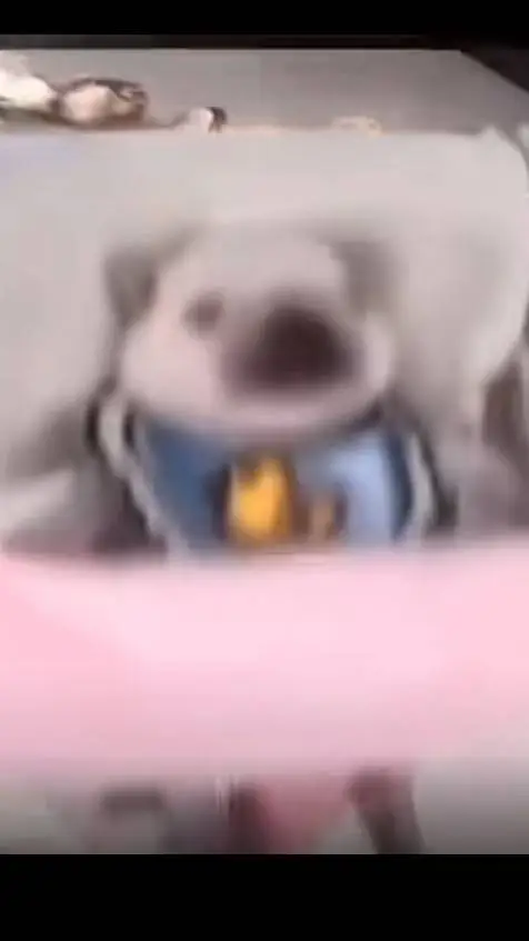 ai character: pibble x kny background