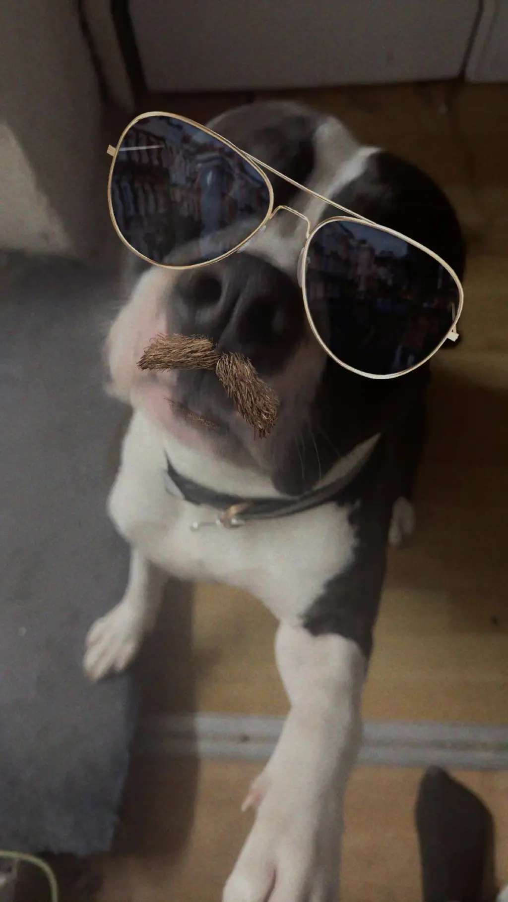 ai character: pibble background