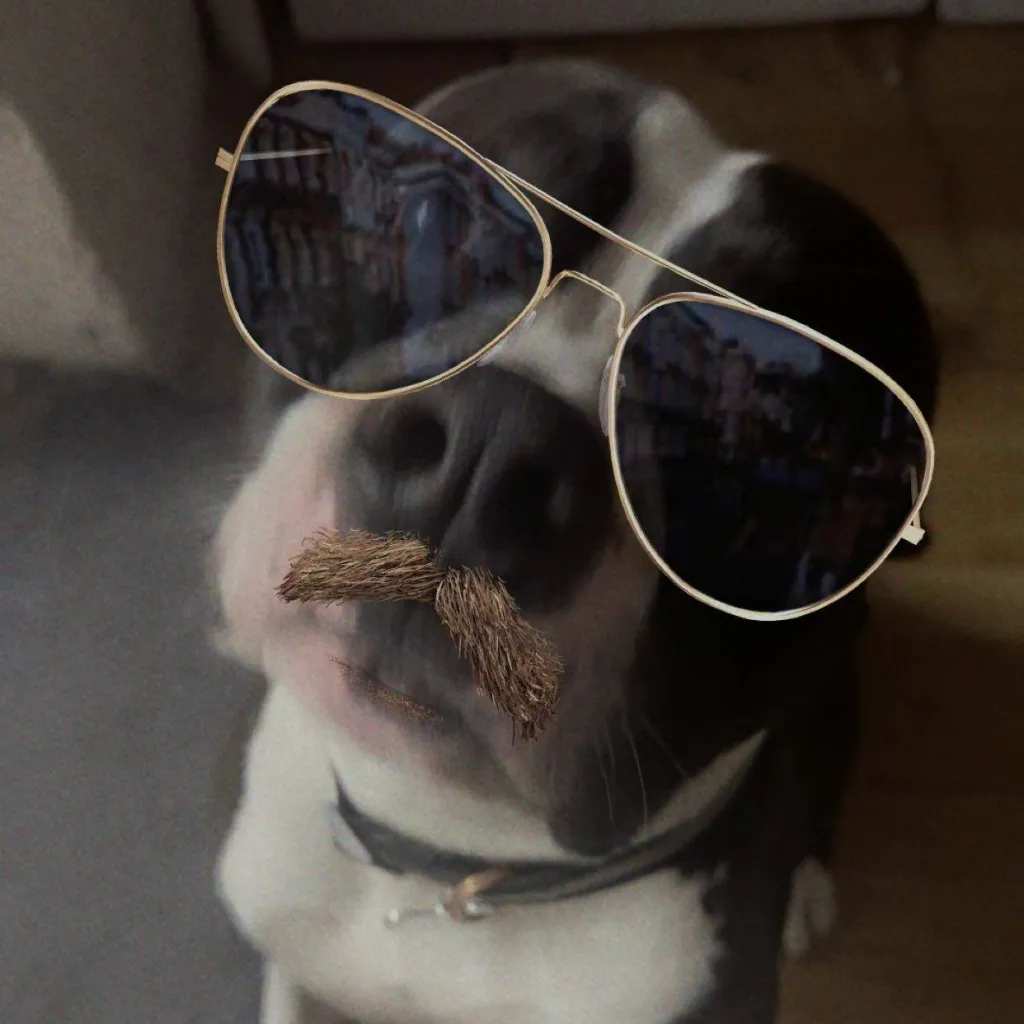 chat with ai character: pibble