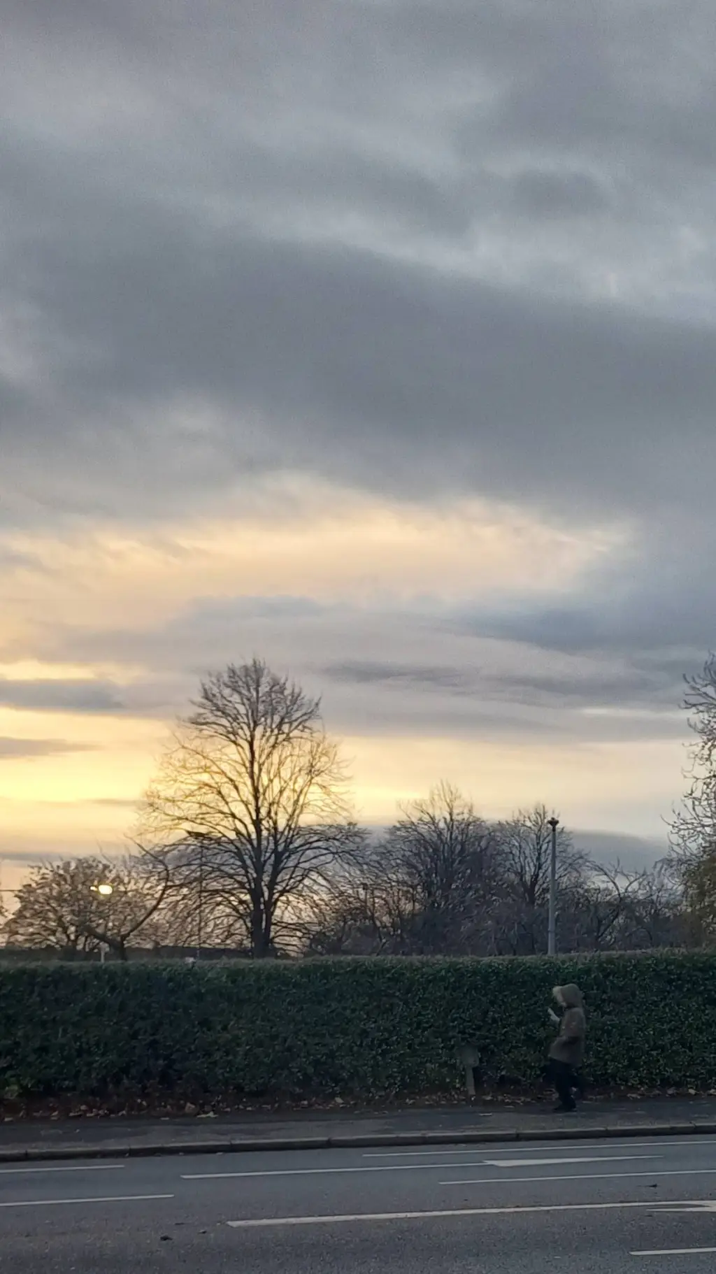 ai character: Wesslyn Joy 🐰🦄 background