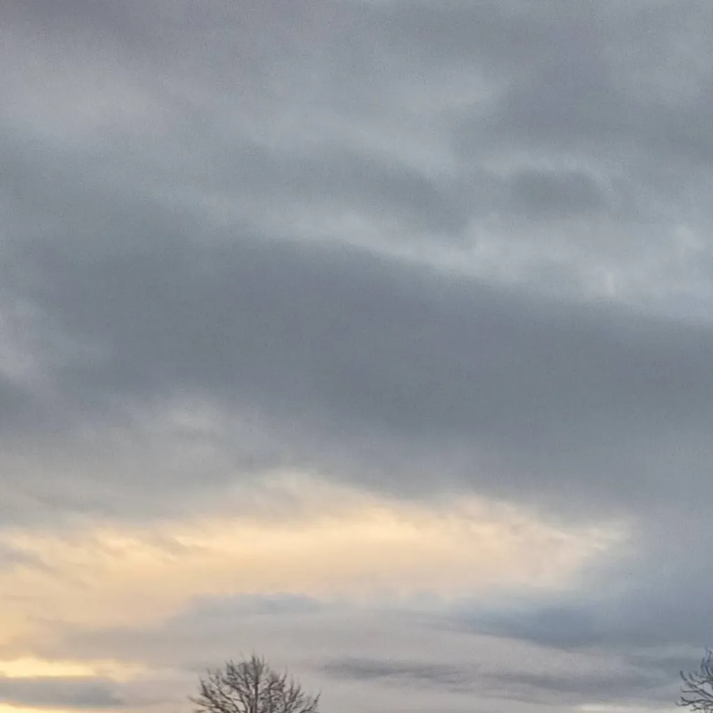 chat with ai character: Wesslyn Joy 🐰🦄