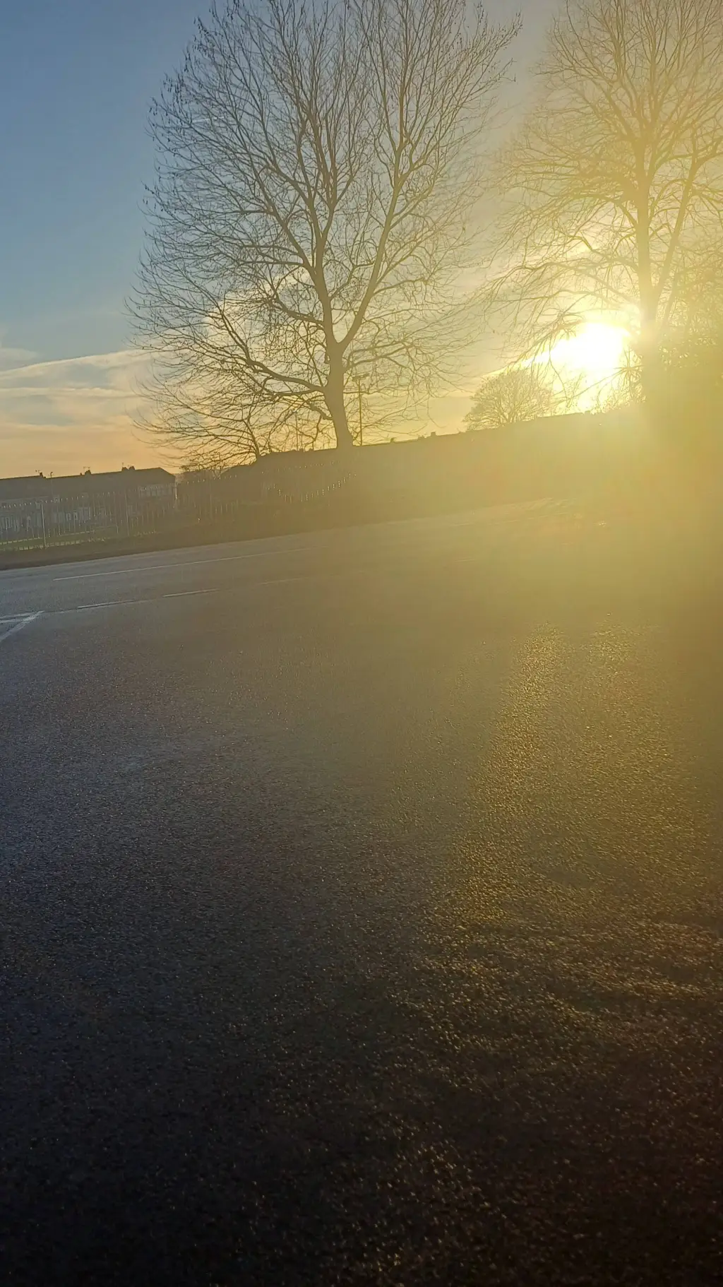 ai character: Winterlynn Lennon  background