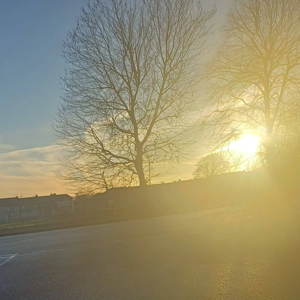 chat with ai character: Winterlynn Lennon 