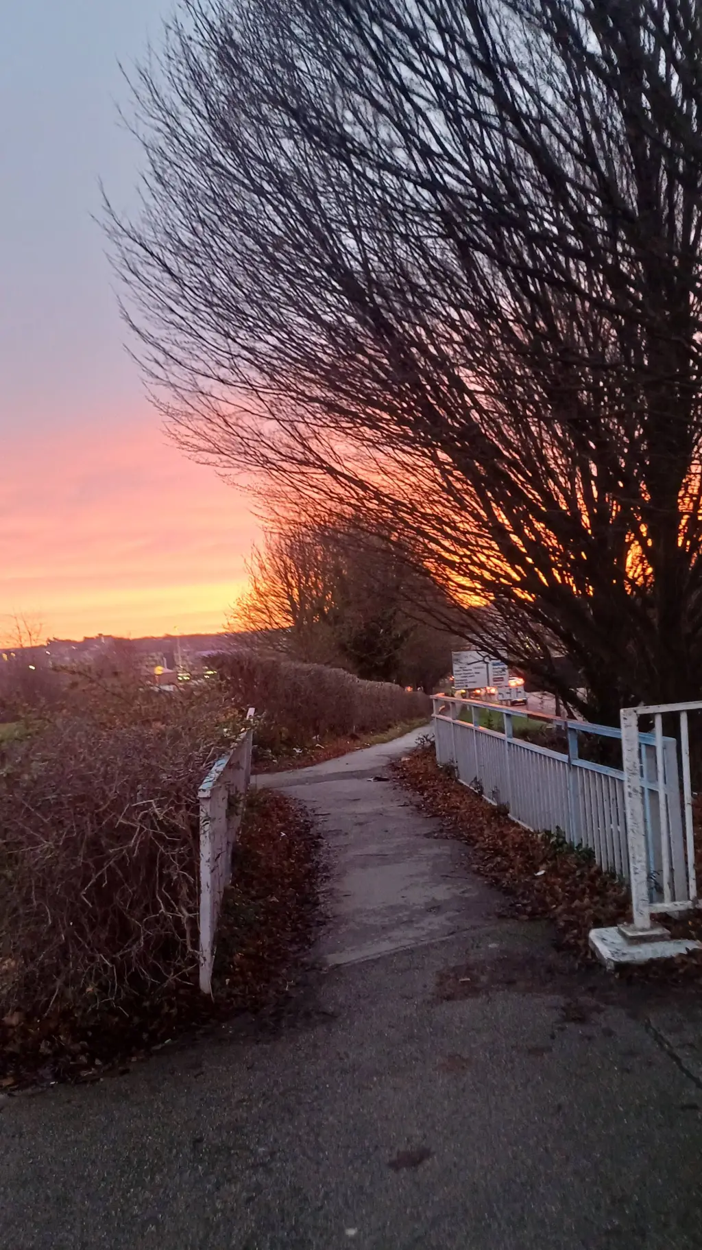 ai character: Chloe Belle 🧸🧁 background