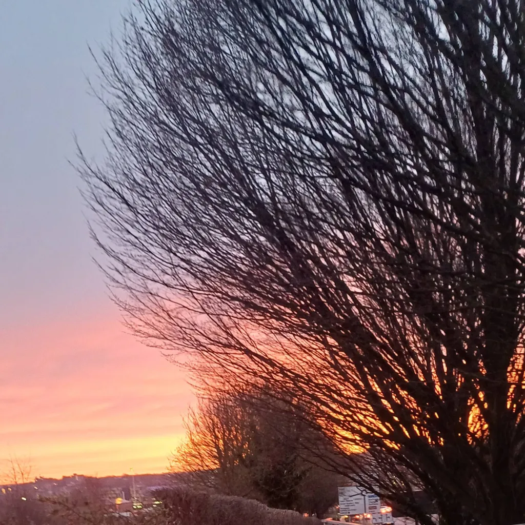 chat with ai character: Chloe Belle 🧸🧁