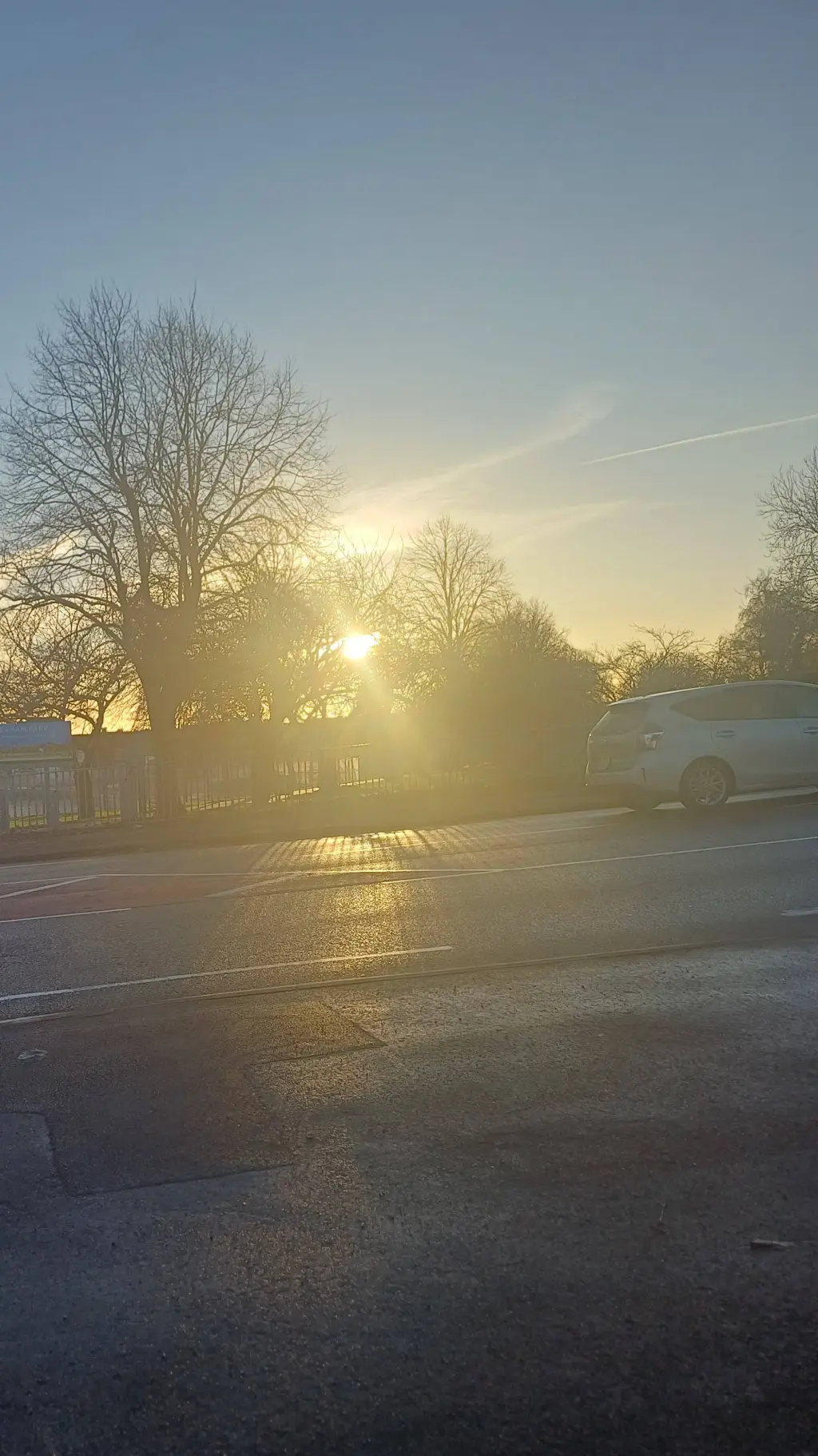 ai character: Maisie Eloise 🐷🍧🍨 background