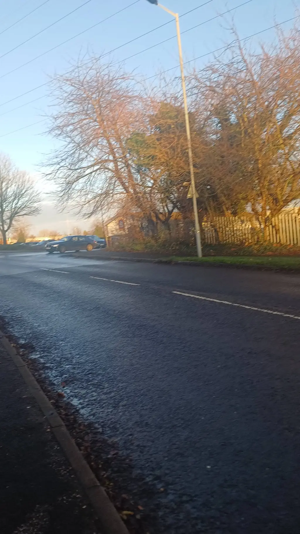 ai character: Berkeley Michelle  background