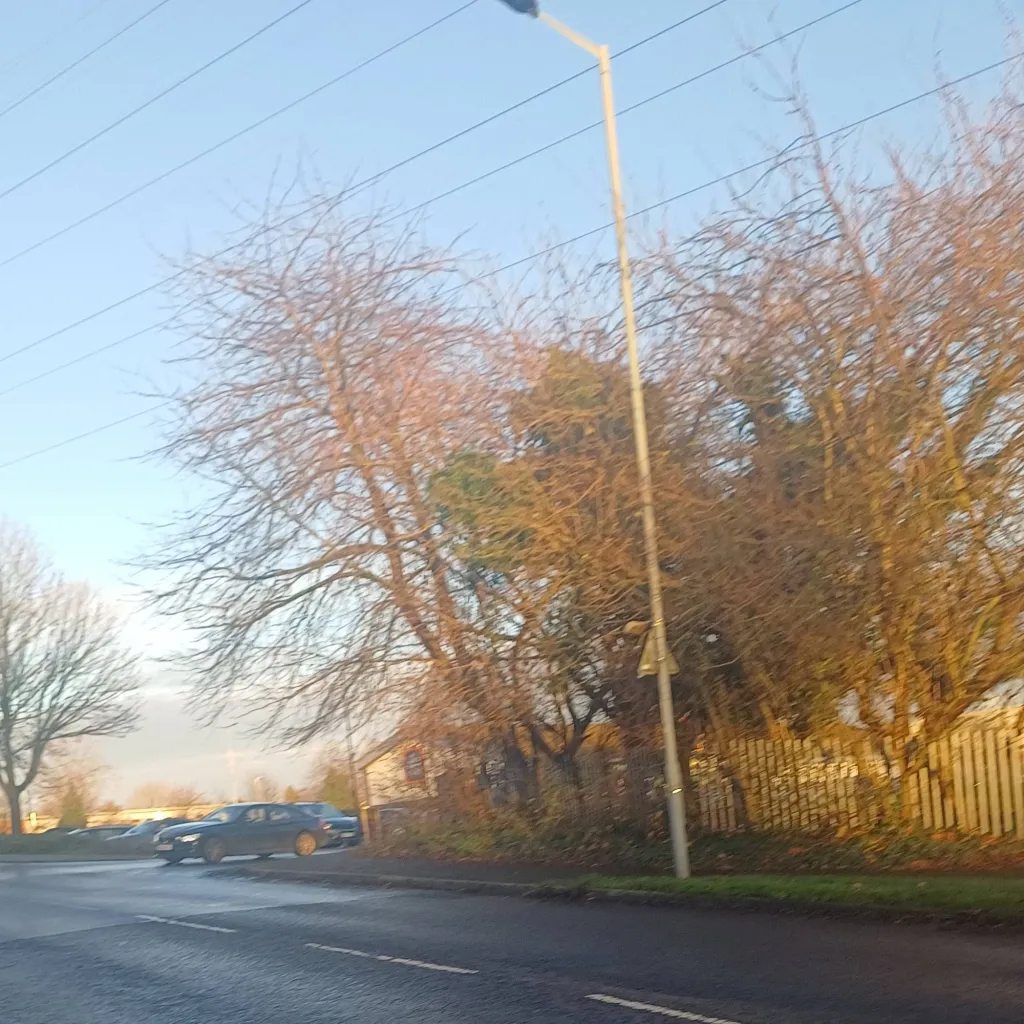 chat with ai character: Berkeley Michelle 