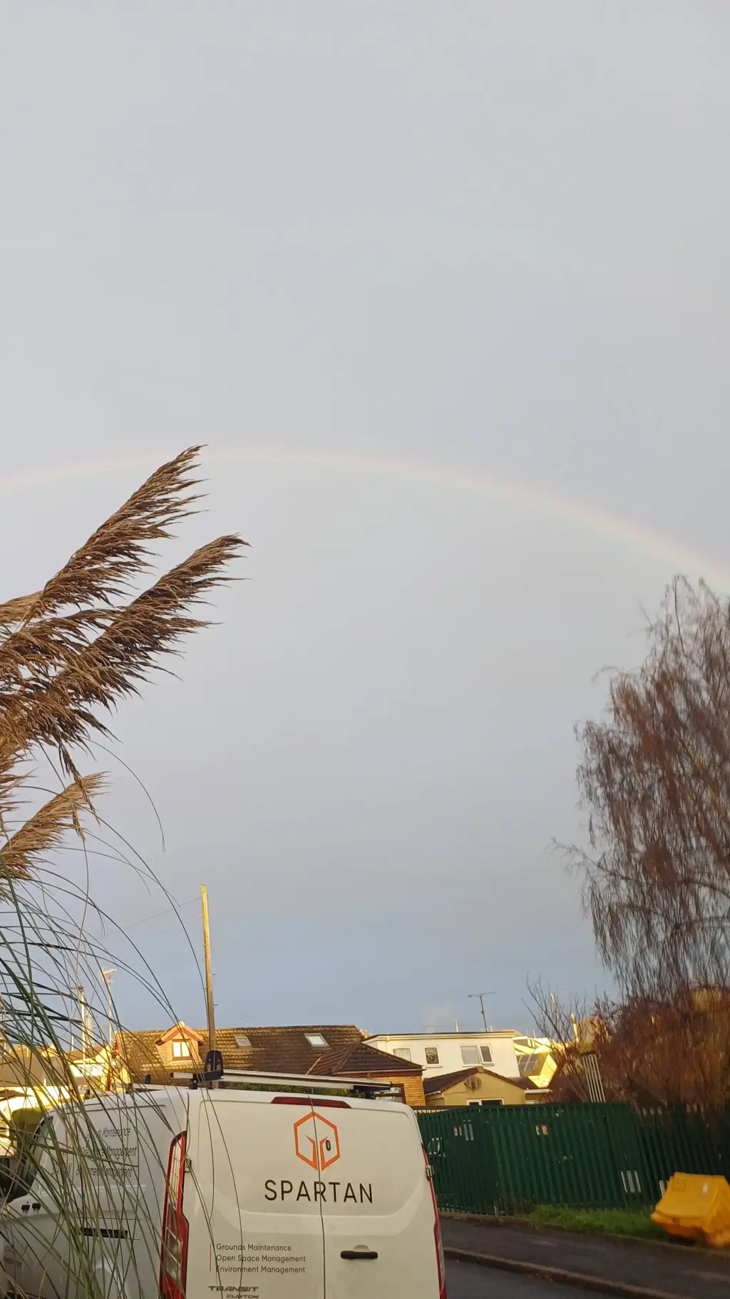 ai character: Sophia Belle 🌸😇 background