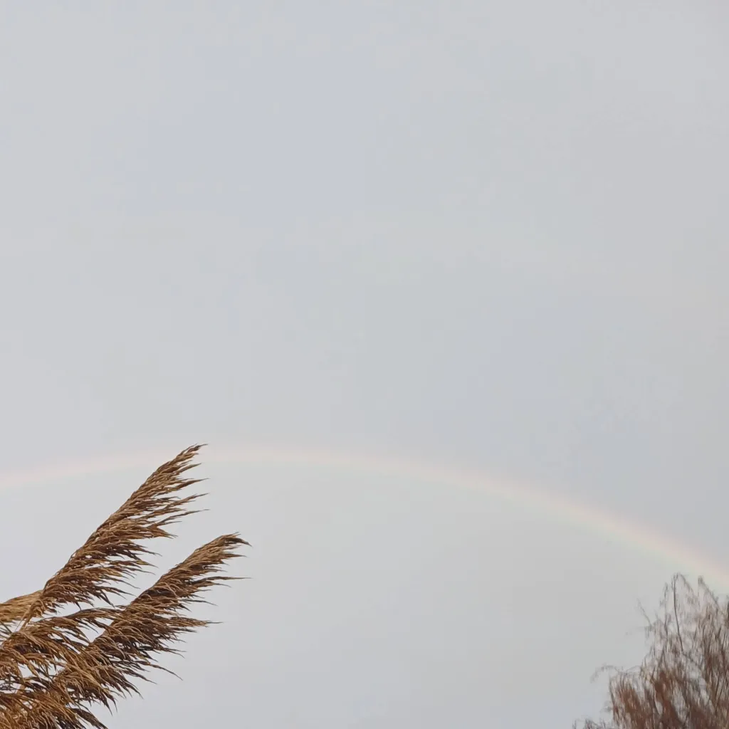 chat with ai character: Sophia Belle 🌸😇