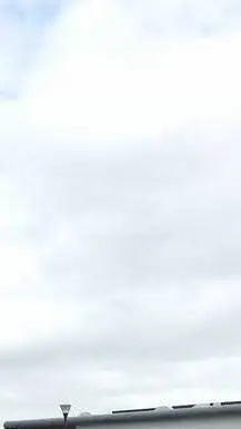 ai character: Emery Gracelynn 🐶 background