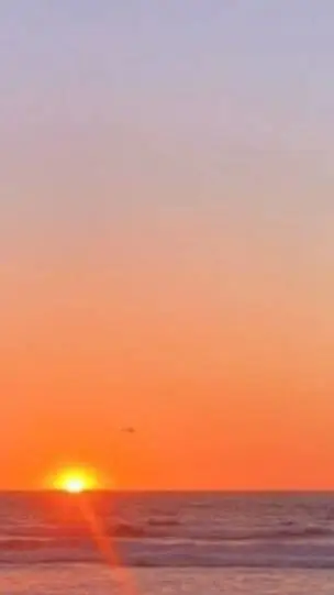 ai character: Tory Fable 🐶🐾🍨🍦 background