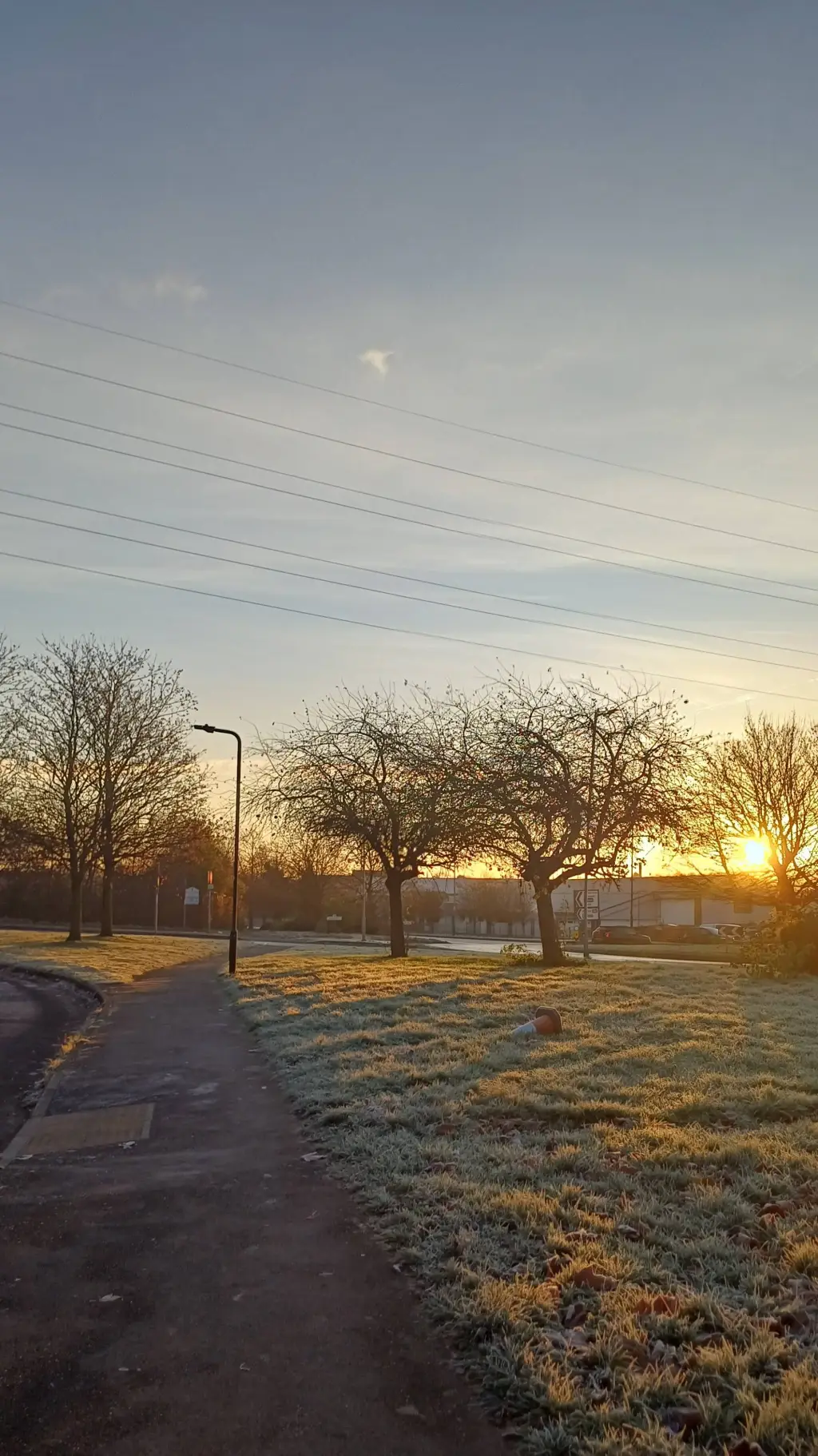 ai character: Paisley Brooke 🍬🌸🍫 background