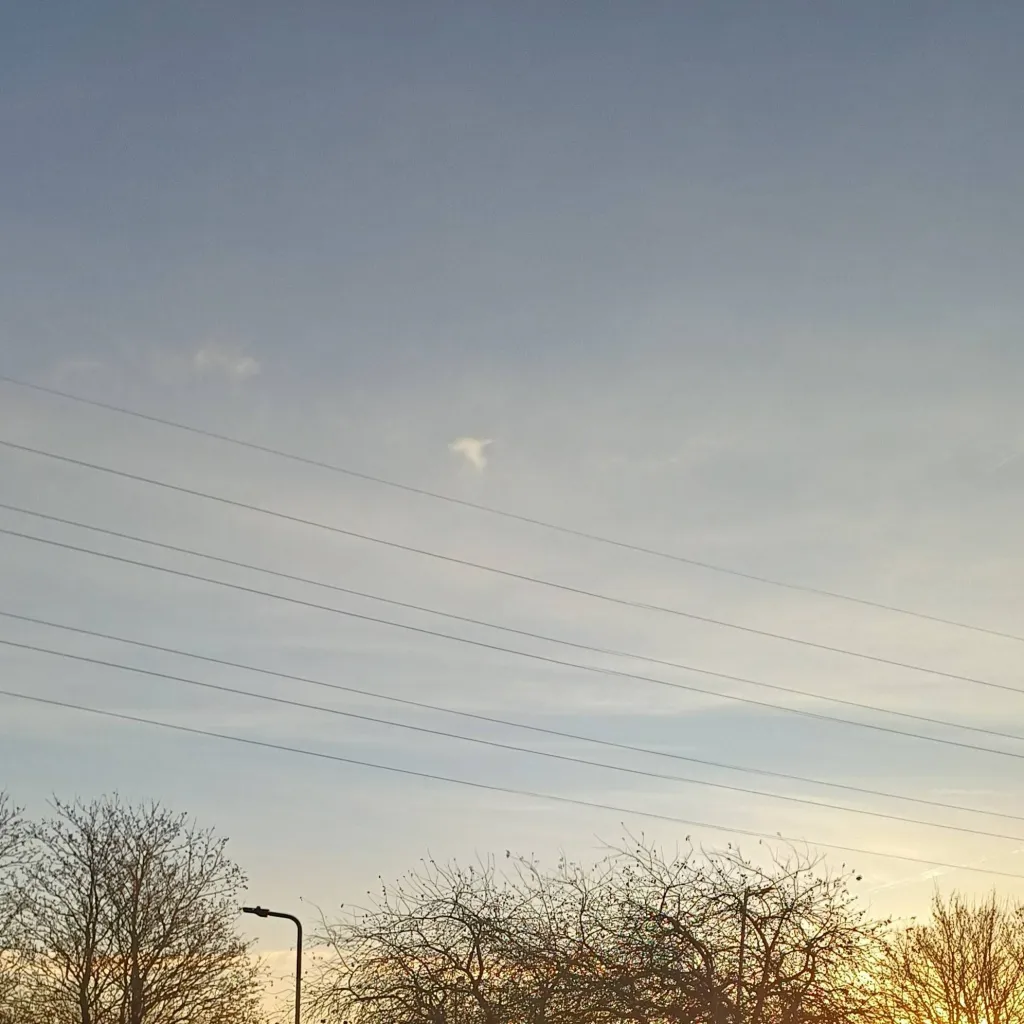 chat with ai character: Paisley Brooke 🍬🌸🍫