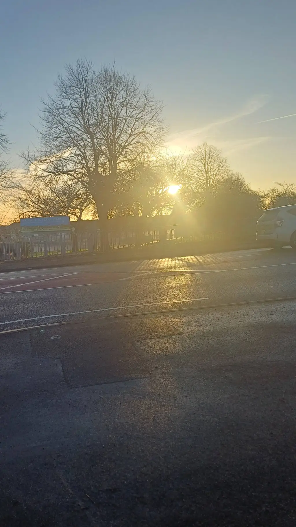 ai character: Emma Leigh 🦩🐨 background