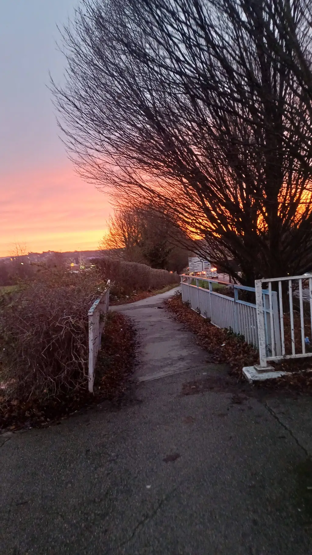 ai character: Darcy Jay 🏀🎸 background